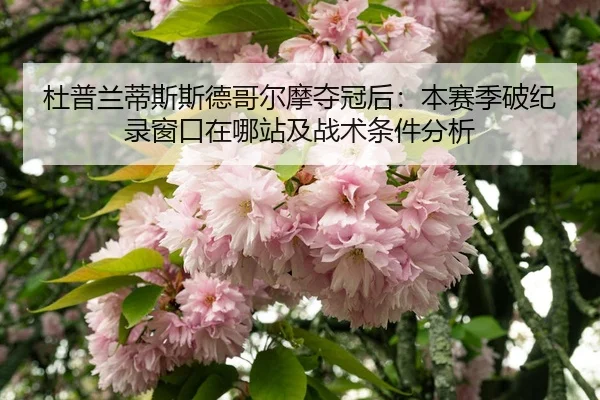 du-pu-lan-di-si-si-de-ge-er-mo-duo-guan-hou-ben-sai-ji-po-ji-lu-chuang-kou-zai-na-zhan-ji-zhan-shu-tiao-jian-fen-xi-2-342.jpg