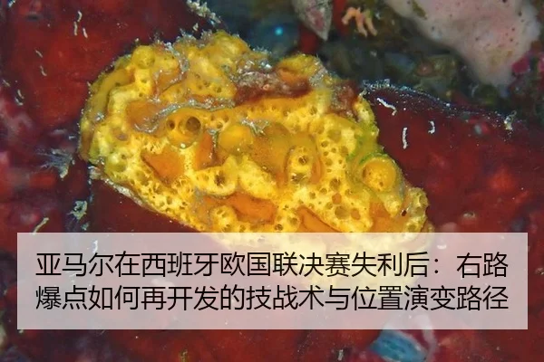 ya-ma-er-zai-xi-ban-ya-ou-guo-lian-jue-sai-shi-li-hou-you-lu-bao-dian-ru-he-zai-kai-fa-de-ji-zhan-shu-yu-wei-zhi-yan-2-470.jpg