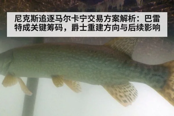 尼克斯追逐马尔卡宁交易方案解析:巴雷特成关键筹码,爵士重建方向与后续影响