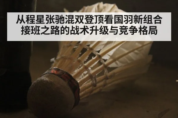 从程星张驰混双登顶看国羽新组合接班之路的战术升级与竞争格局